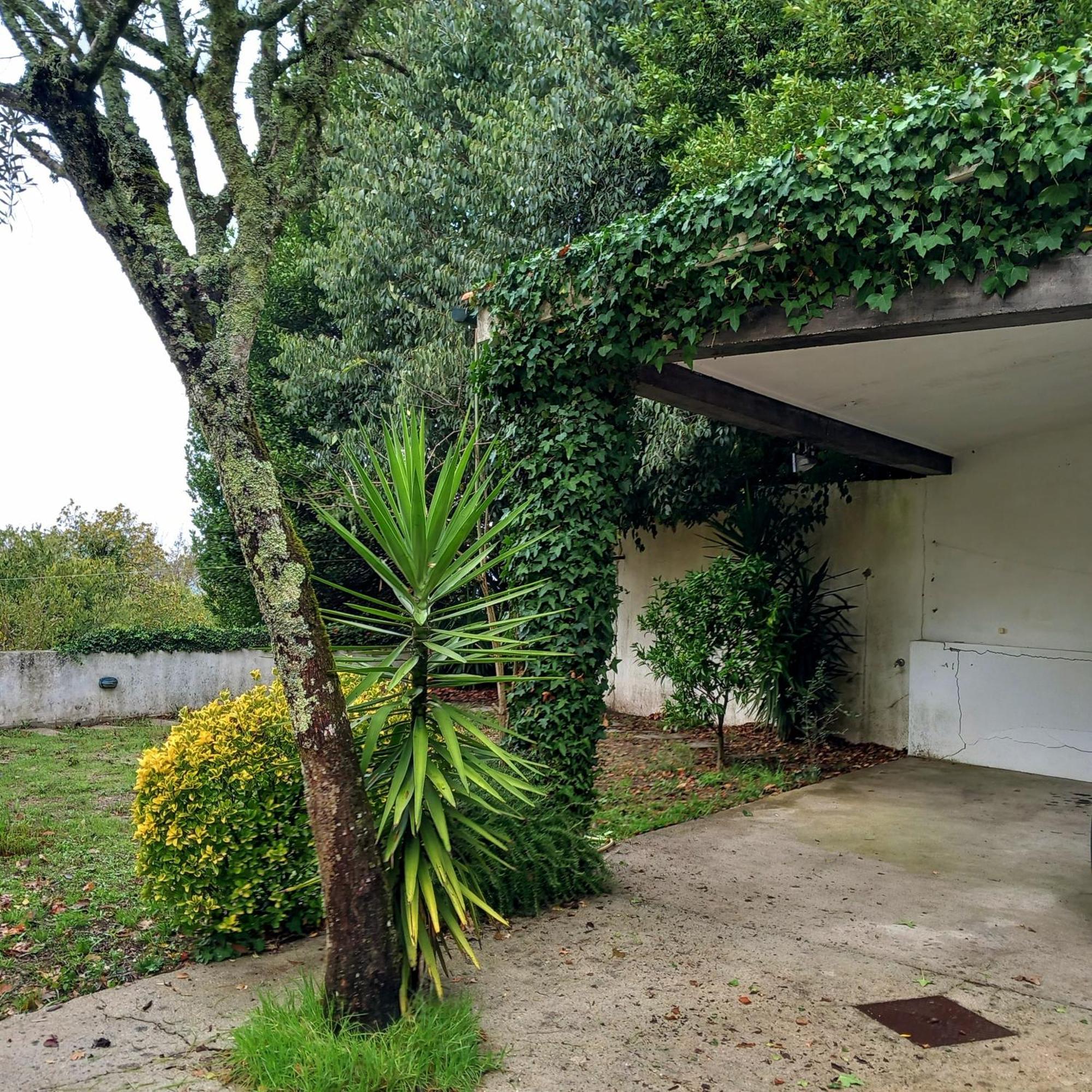 הוילה Casa Amarante Porto מראה חיצוני תמונה