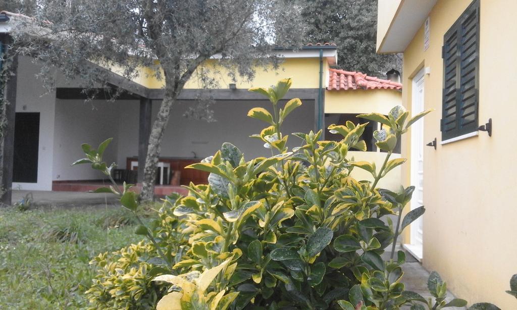הוילה Casa Amarante Porto מראה חיצוני תמונה