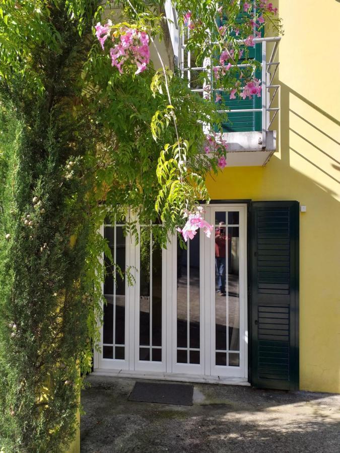 הוילה Casa Amarante Porto מראה חיצוני תמונה